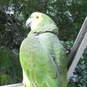 Meet your Posher, Roberto